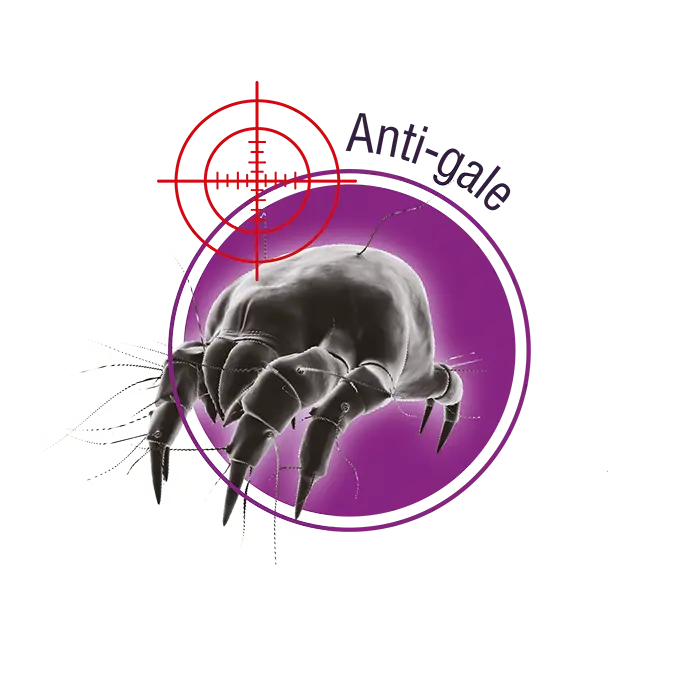 antigale.webp