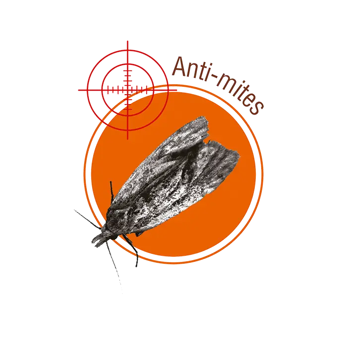 mites.webp