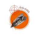 mites.webp