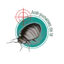 punaise.webp