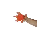 etoile-special-extenseurs-doigts.webp
