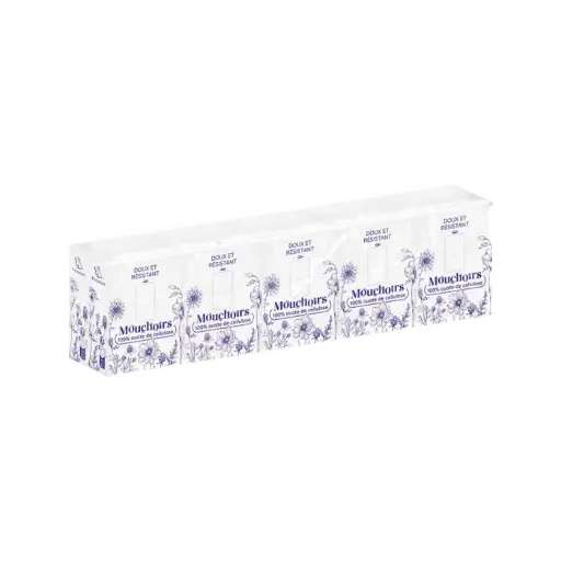 [pq-mouch] Mouchoirs en etui compact de 10 paquets