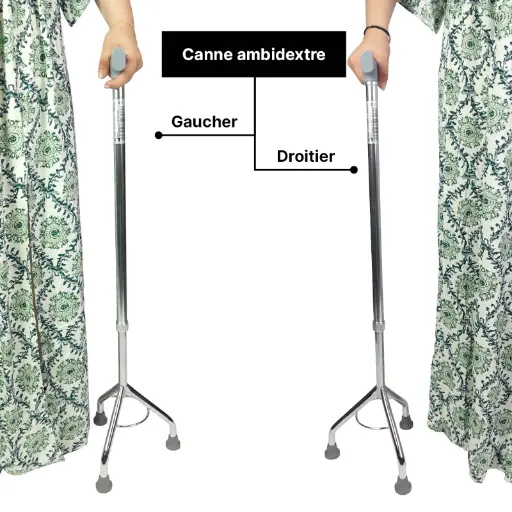 [CTripCl] Canne tripode Classic